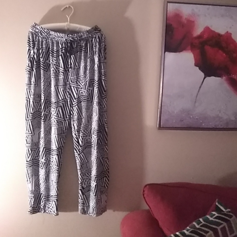 Sexy Silk Dress Pants